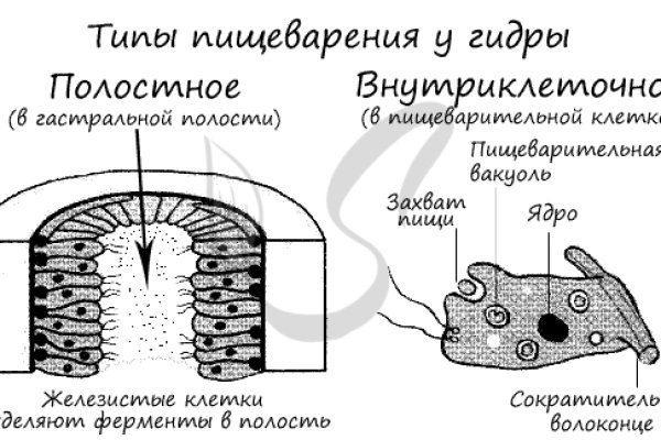 Кракен площадка торговая kr2web in