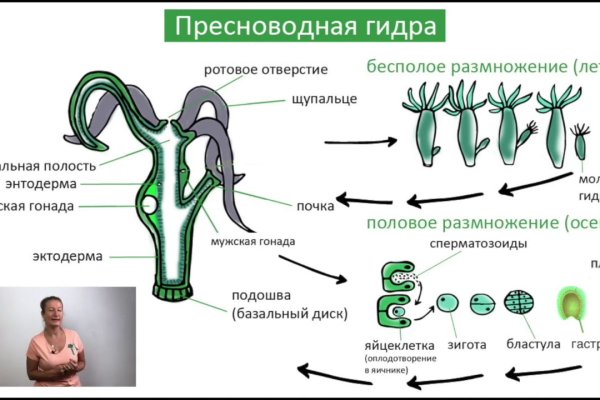 Что такое кракен сайт