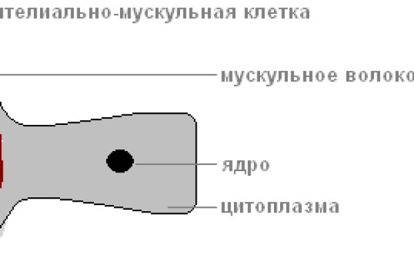 Только через тор кракен