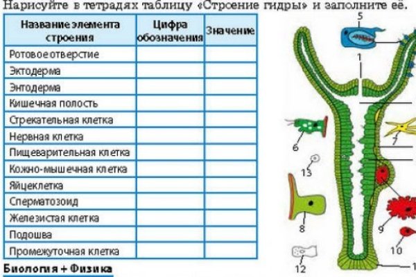 Найти зеркало кракена