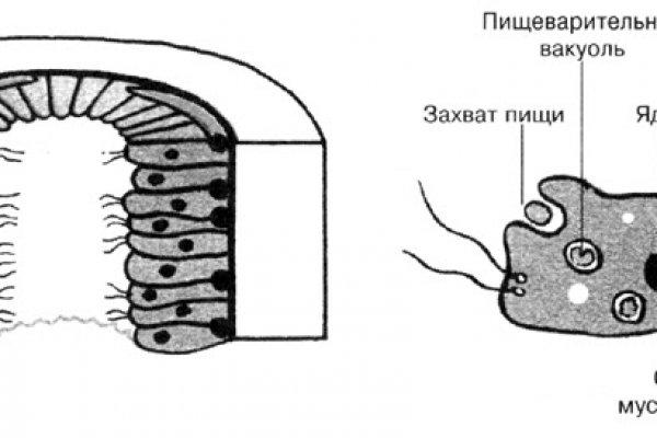 Кракен зеркала официальные